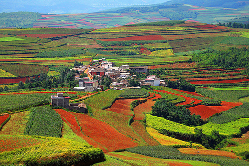 8267013232_fb7e02de5b