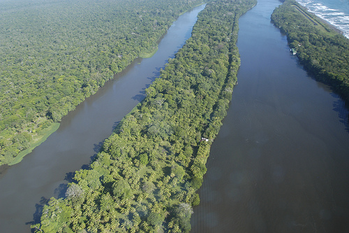 canales-parque-tortuguero-costa-rica