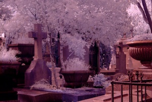 Cementerios con historia, lugares de interés turístico