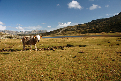isla de Córcega_