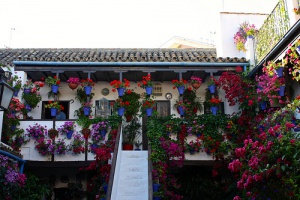 ¿Cuántas ciudades llamadas Córdoba conoces?