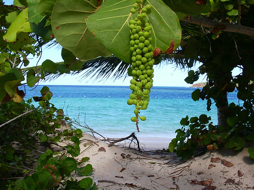 playas más bellas y desconocidas del mundo_Flamenco beach