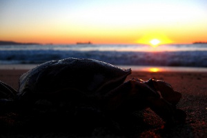 El balneario favorito de Chile
