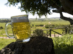 Las mejores cervezas del mundo