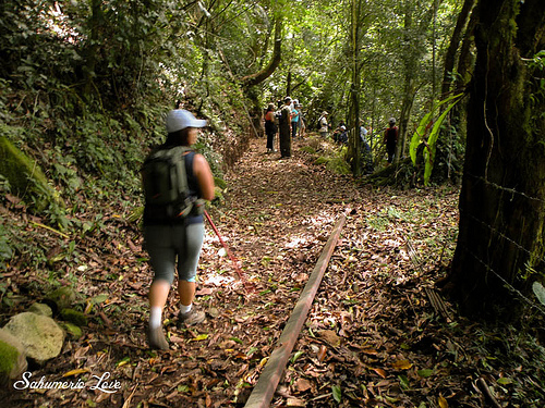 Toma las precauciones necesarias antes de cualquier caminata.