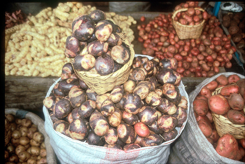 El ajiaco contiene tres variedades de papa.