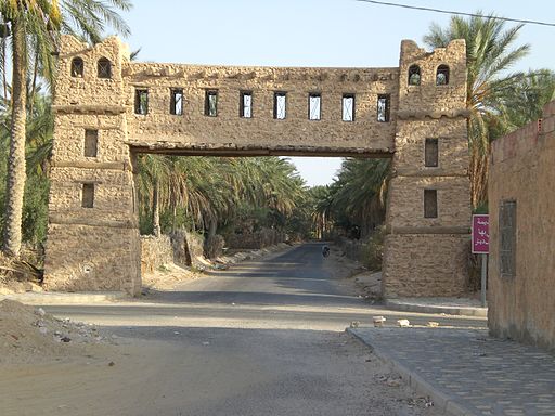 Kebili, un oasis en Túnez.