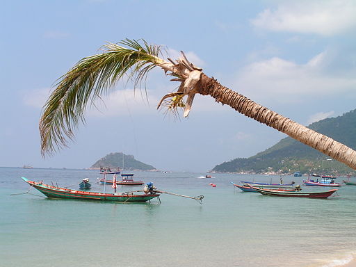 Koh Tao, un paraíso en Tahilandia