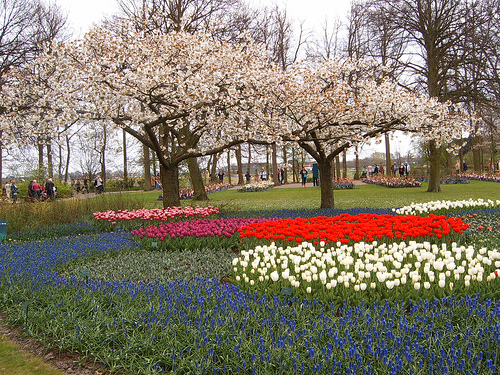 jardin-keukenhof-paises-bajos