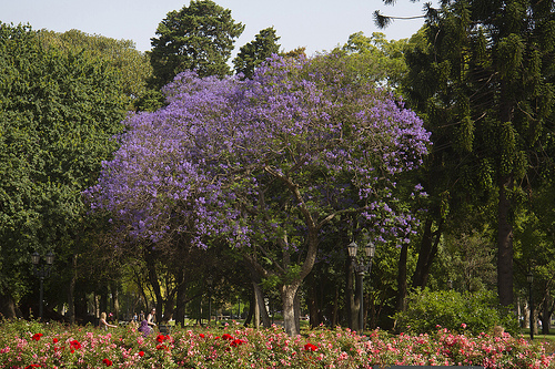 rosedal-de-palermo-buenos-aires