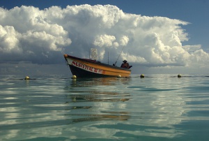 Jamaica Tropical: Ensueño, alegría y libertad