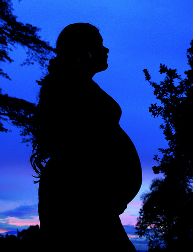 Todas las precauciones son importantes.