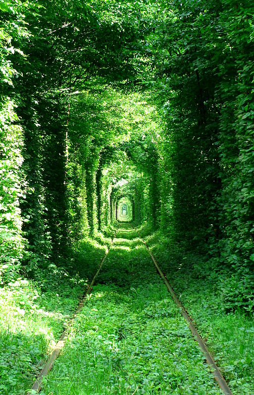 El Túnel del Amor.