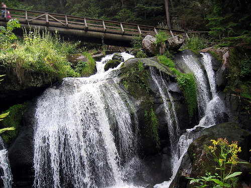 cascada-selva-negra