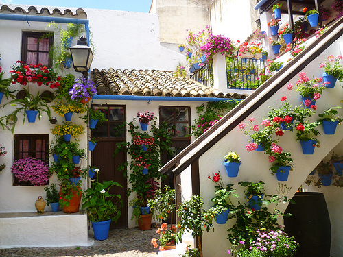 festival de patios cordobeses