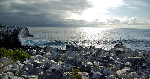 islas-galapagos