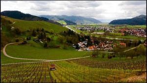 La Selva Negra alemana, disfruta de sus paisajes naturales