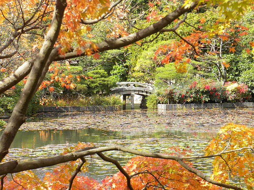 templo-ryoan-ji-kioto