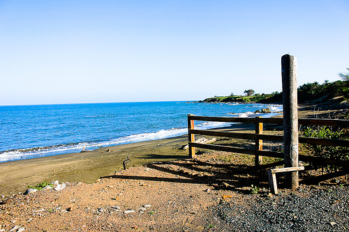 La serena belleza de "Anguila".