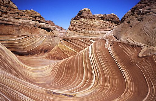 La Ola de Arizona.