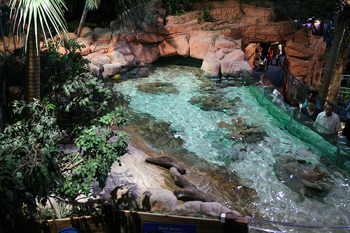 acuario-de-birmingham