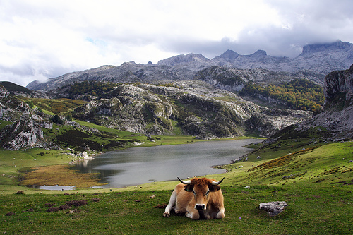 lagos-de-covadonga-asturias