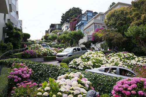 lombard-street-san-francisco
