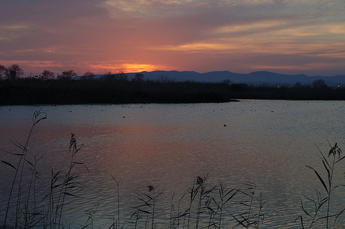 El Delta del Llobregat.