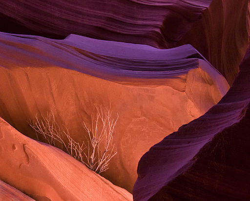 El Cañón del Antílope, en Arizona.