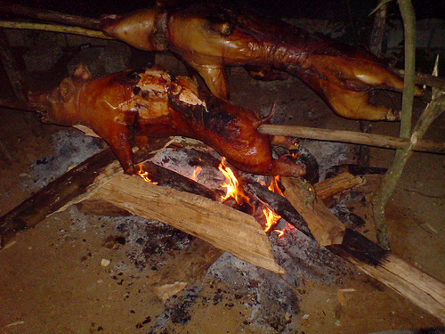 El lechón tailandés tiene un sabor a hogar.
