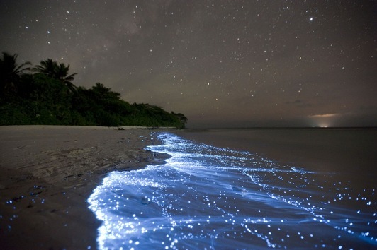 El Mar de Las Estrellas, en Maldivas.