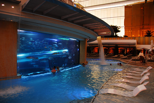 Piscina en el Golden Nugget.