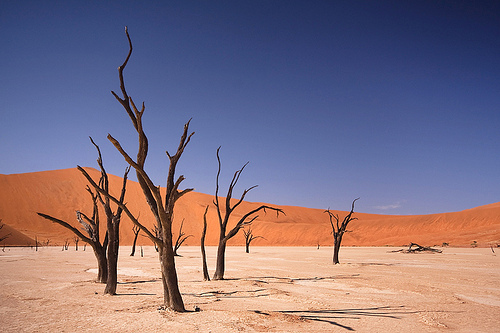Deadvlei, en Namibia.