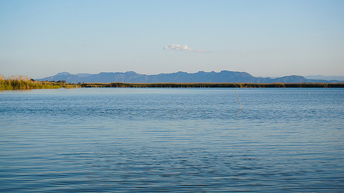 albufera-de-valencia