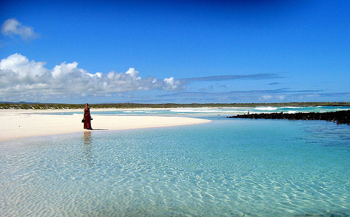 Isla Isabela, en Ecuador