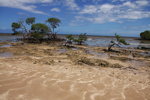 Isla de Boipeba, en Brasil