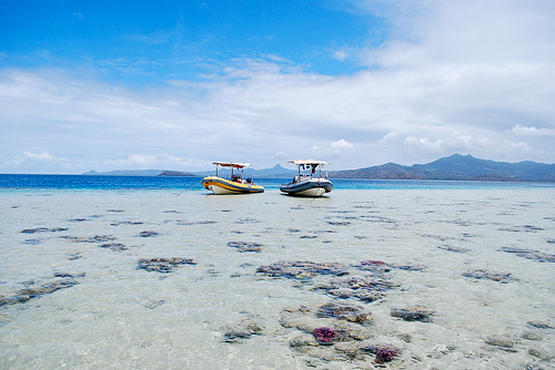 arrecife-de-coral-mayotte
