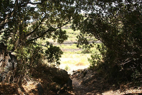 espacios-naturales-pantelleria