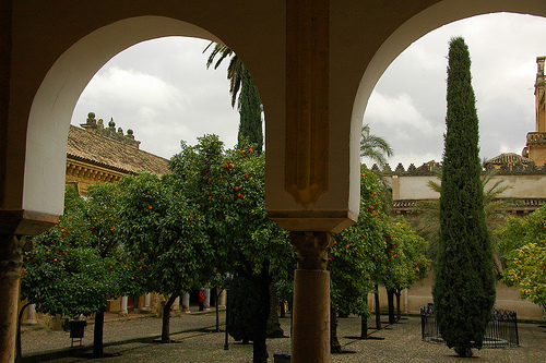 patio-de-los-naranjos-mezquita-de-cordoba