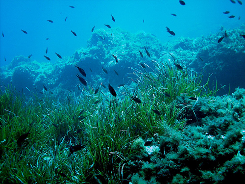 submarinismo-pantelleria