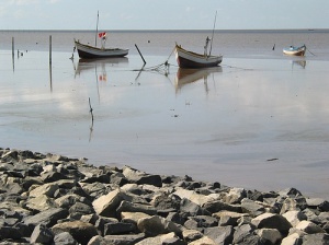 Guyana, una aventura para descubrir