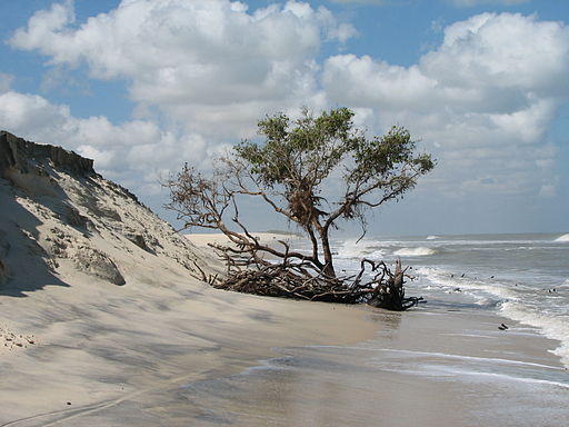 Dunas de Jericoacorá, en Brasil