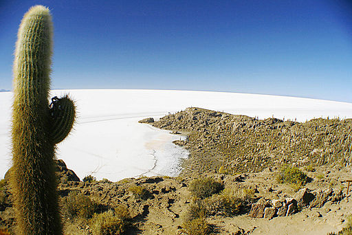 Isla del pescado, en Bolivia 