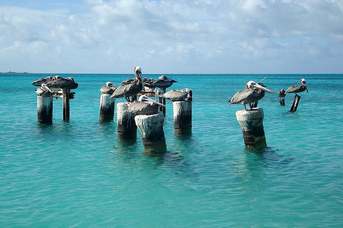 Islas Los Roques, en Venezuela