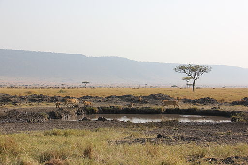 Los paisajes de Kenia