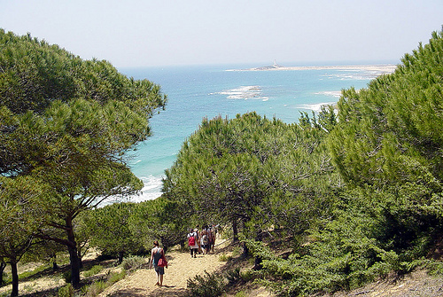 parque-natural-de-la-breña-caños-de-meca