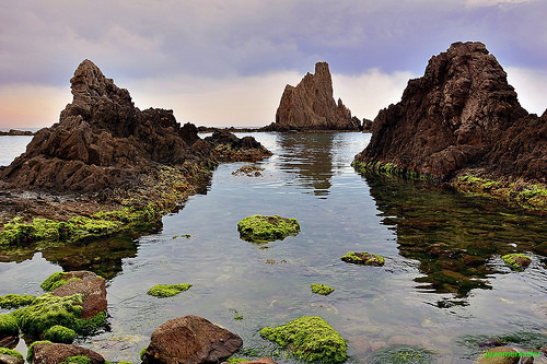 arrecife-de-las-sirenas