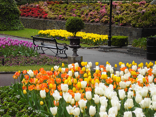 jardin botanico wellington