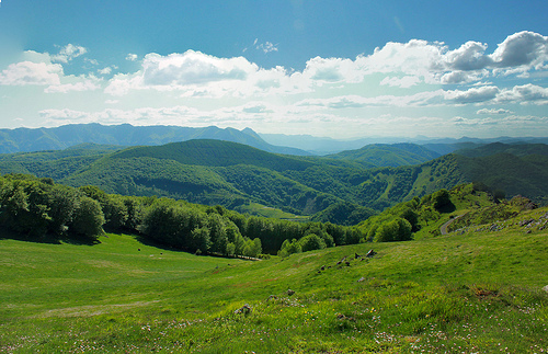 leiza-ocho-lugares-vascos