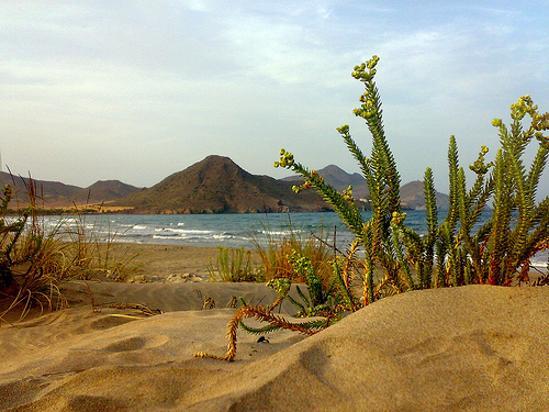 playa-de-los-genoveses